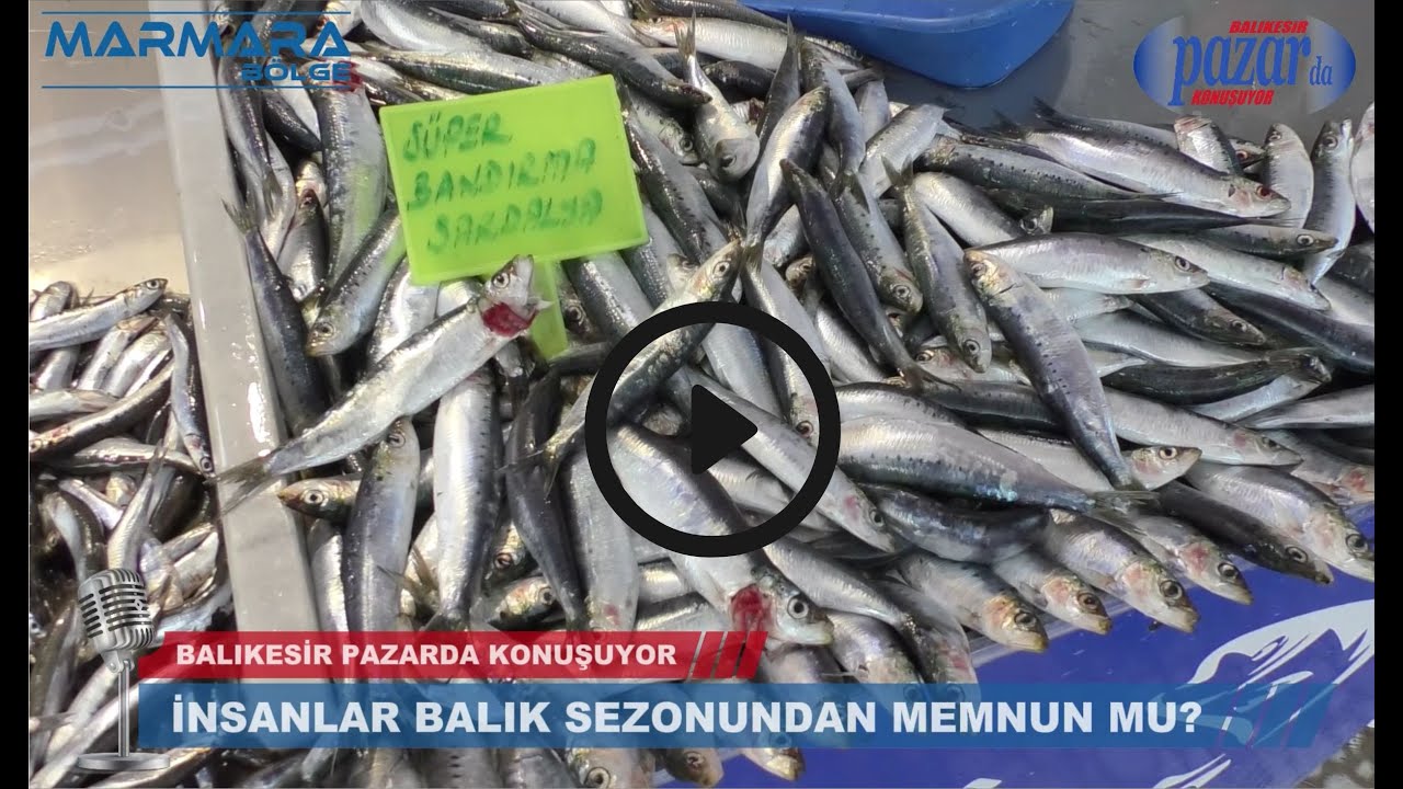 Marmara Bölge olarak vatandaşlara