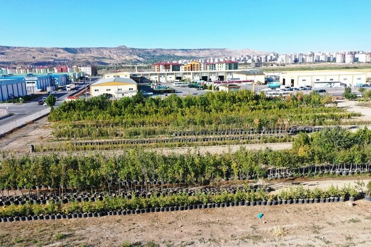 Kayseri Kocasinan 'yeşil' rekor kıracak