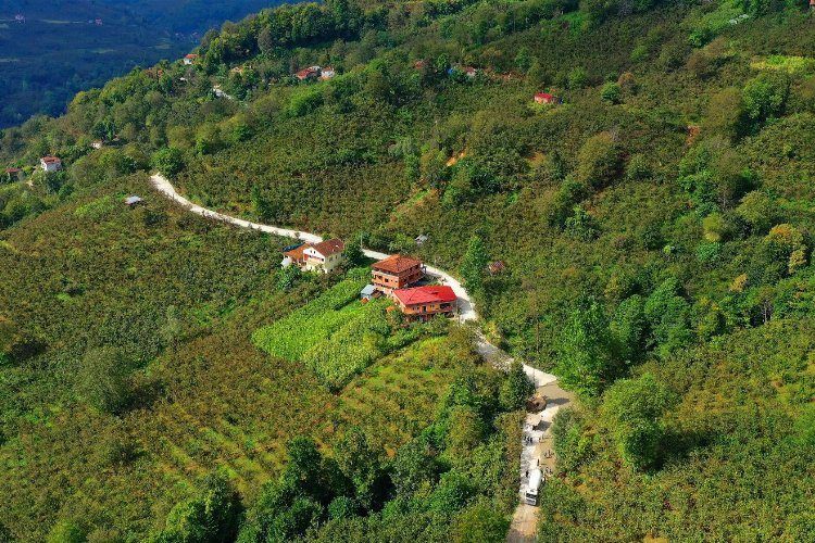 Ordu Büyükşehir Belediyesi 19