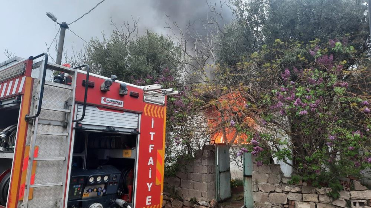 Balıkesir'in Bandırma ilçesinde Kayacık