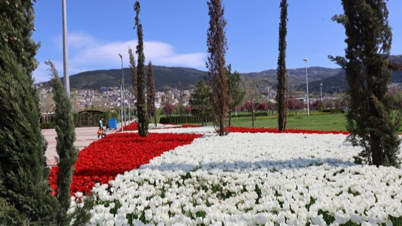 Baharın tüm renkleri Bursa’yı sardı