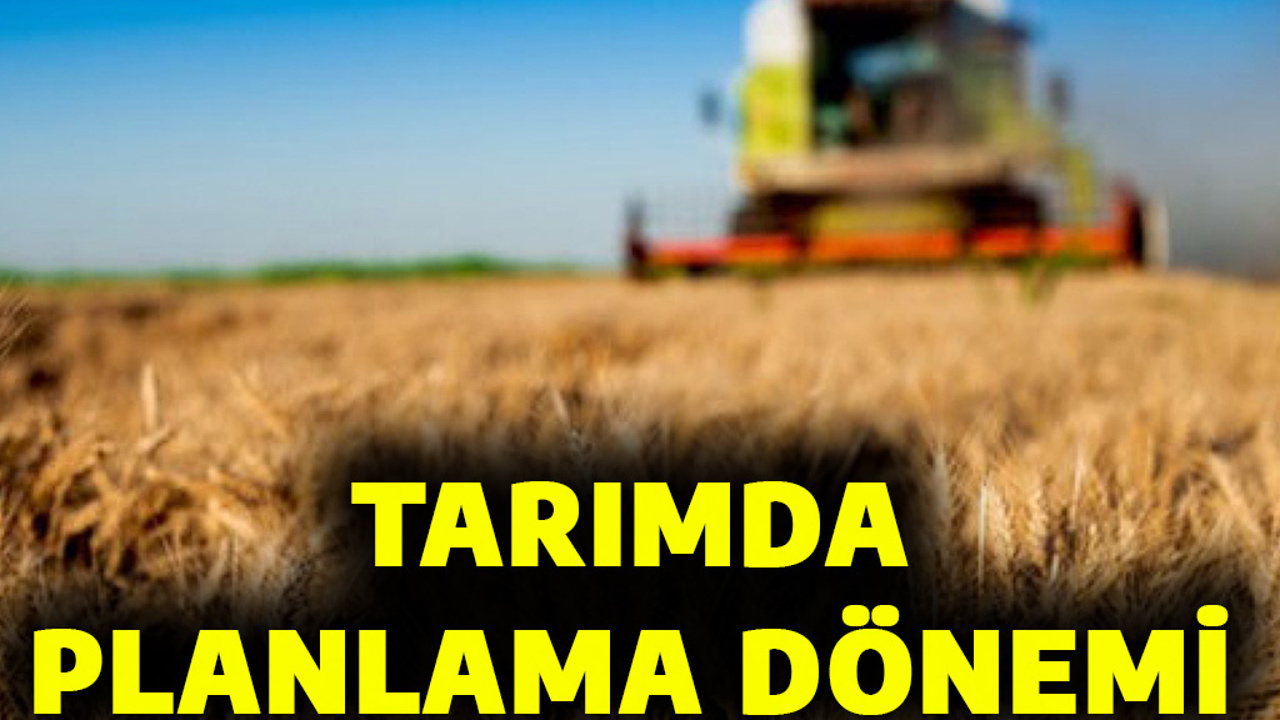 TARIMDA PLANLAMA DÖNEMİ