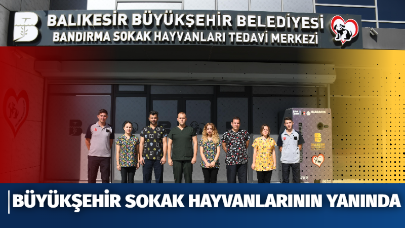 BÜYÜKŞEHİR SOKAK HAYVANLARININ YANINDA