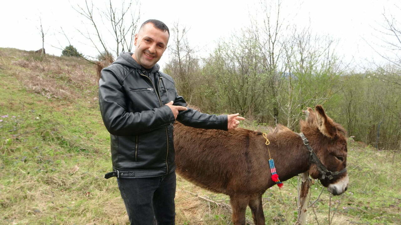 Pendik’te çiftlikte yaşayan ‘Uysal’