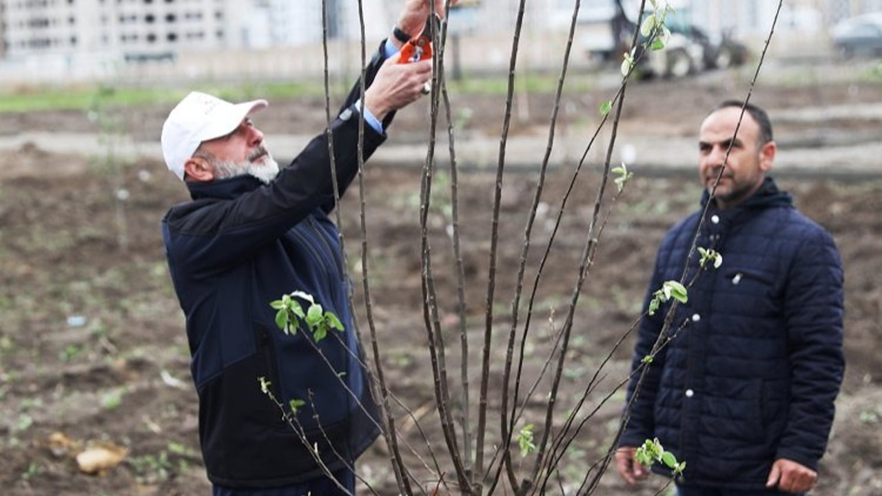 Kayseri Kocasinan'dan meyve bahçeli park projesi