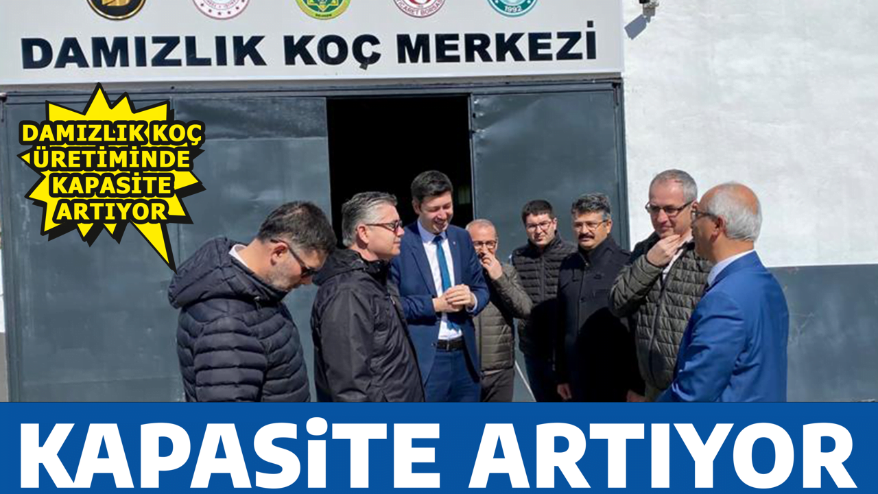 KAPASİTE ARTIYOR