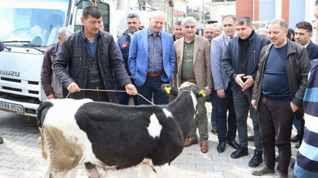 Manisa Büyükşehir Belediyesinin hayvan