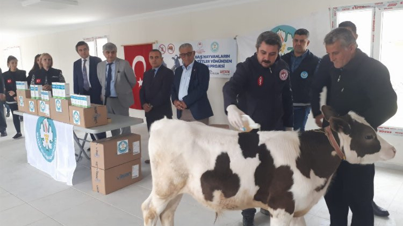 Manisa Selendili hayvan üreticilerine Büyükşehir desteği