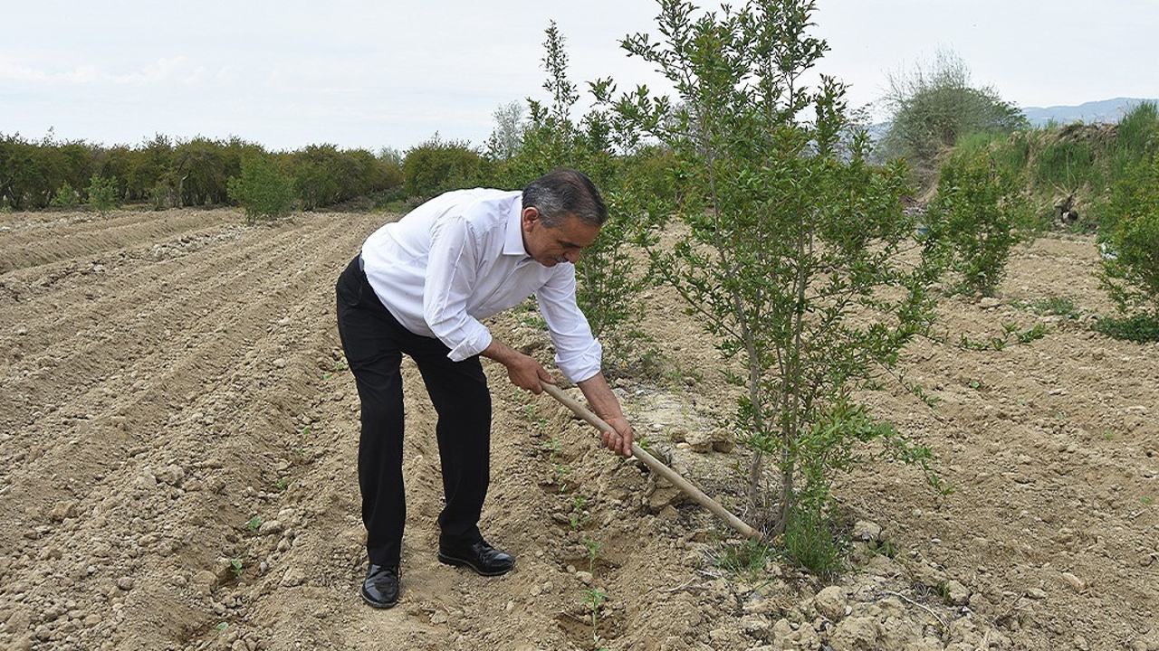 MİLLİYETÇİ HAREKET PARTİSİ (MHP)