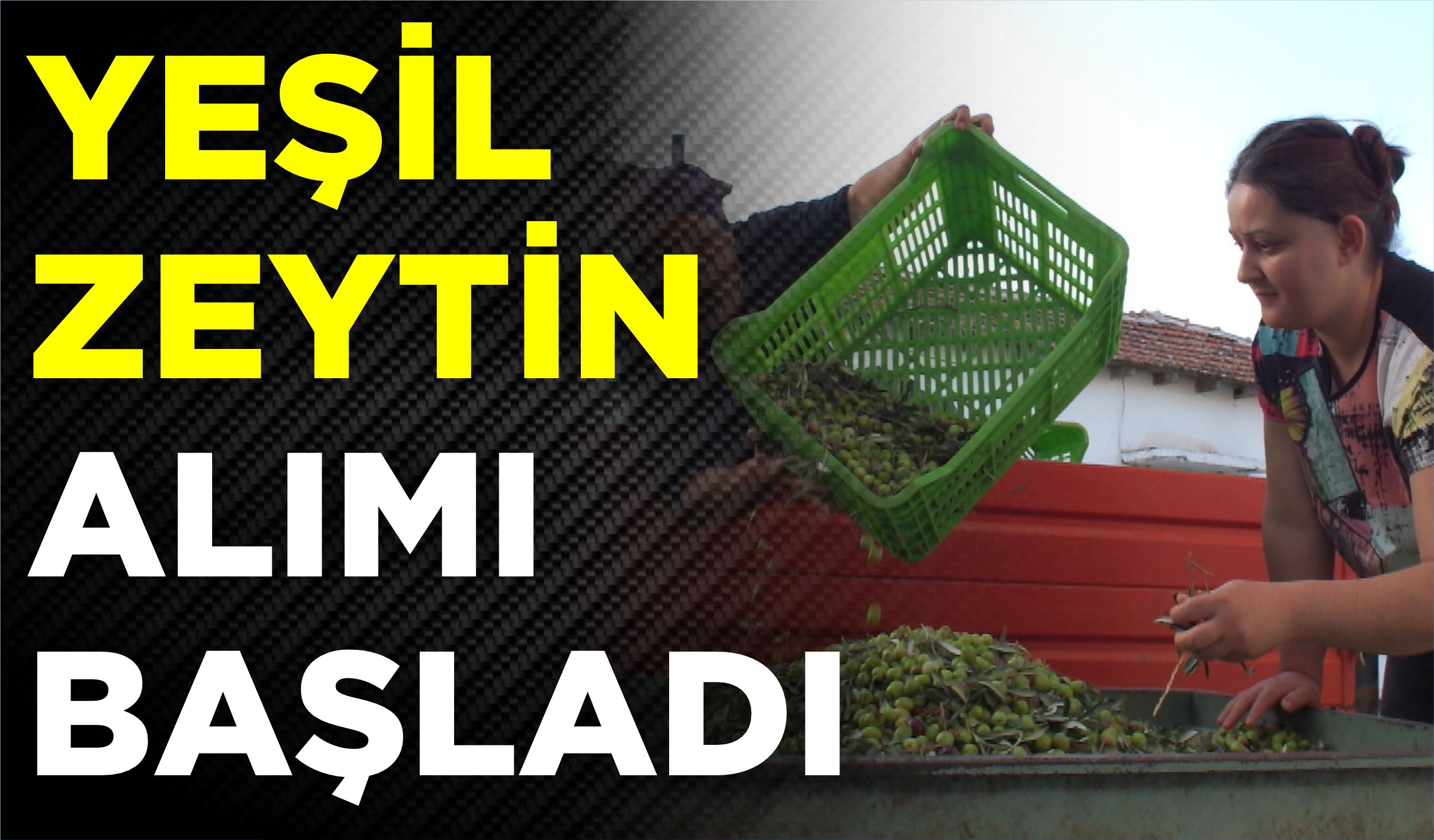 yesil zeytin - Marmara Bölge: Balıkesir Son Dakika Haberleri ile Hava Durumu