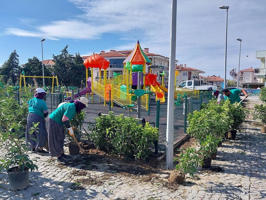 Ayvalık Belediyesi, ilçe genelindeki