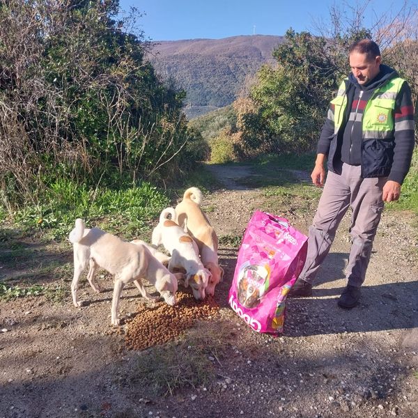 406427726 798253199010099 1337895773519701282 n - Marmara Bölge: Balıkesir Son Dakika Haberleri ile Hava Durumu