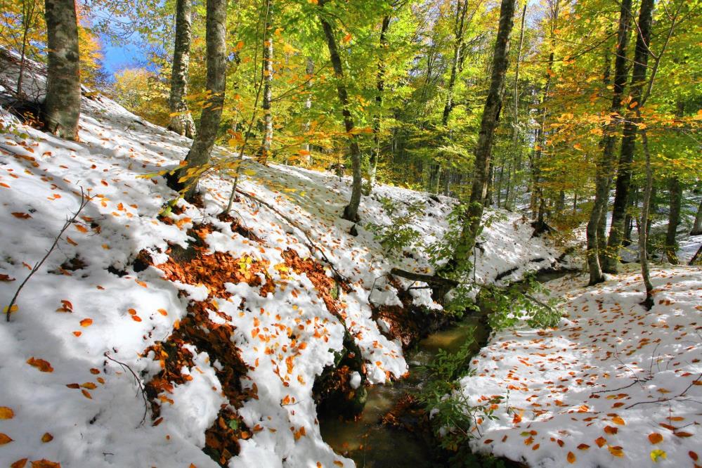 Hava sıcaklıklarının düşmesiyle Balıkesir’in