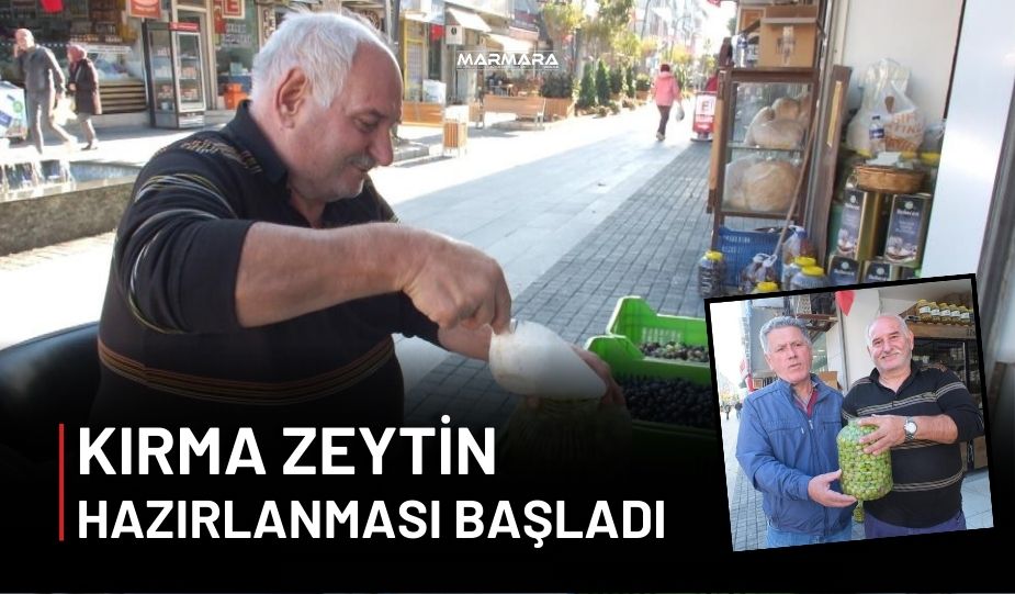 BALIKESİR’DE KIRMA ZEYTİN MESAİSİ BAŞLADI