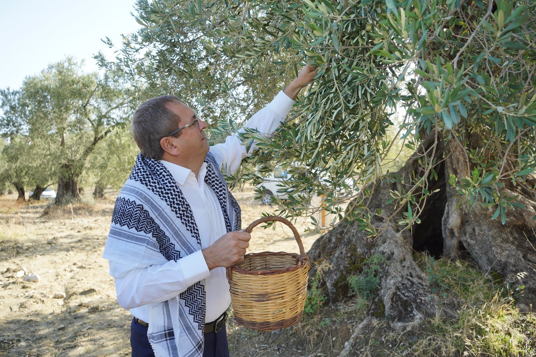 ERGİN’DEN ZEYTİN GÜNÜ MESAJI