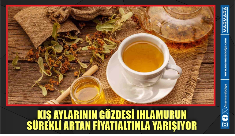 KIŞ AYLARININ GÖZDESİ IHLAMURUN SÜREKLİ ARTAN FİYATI ALTINLA YARIŞIYOR