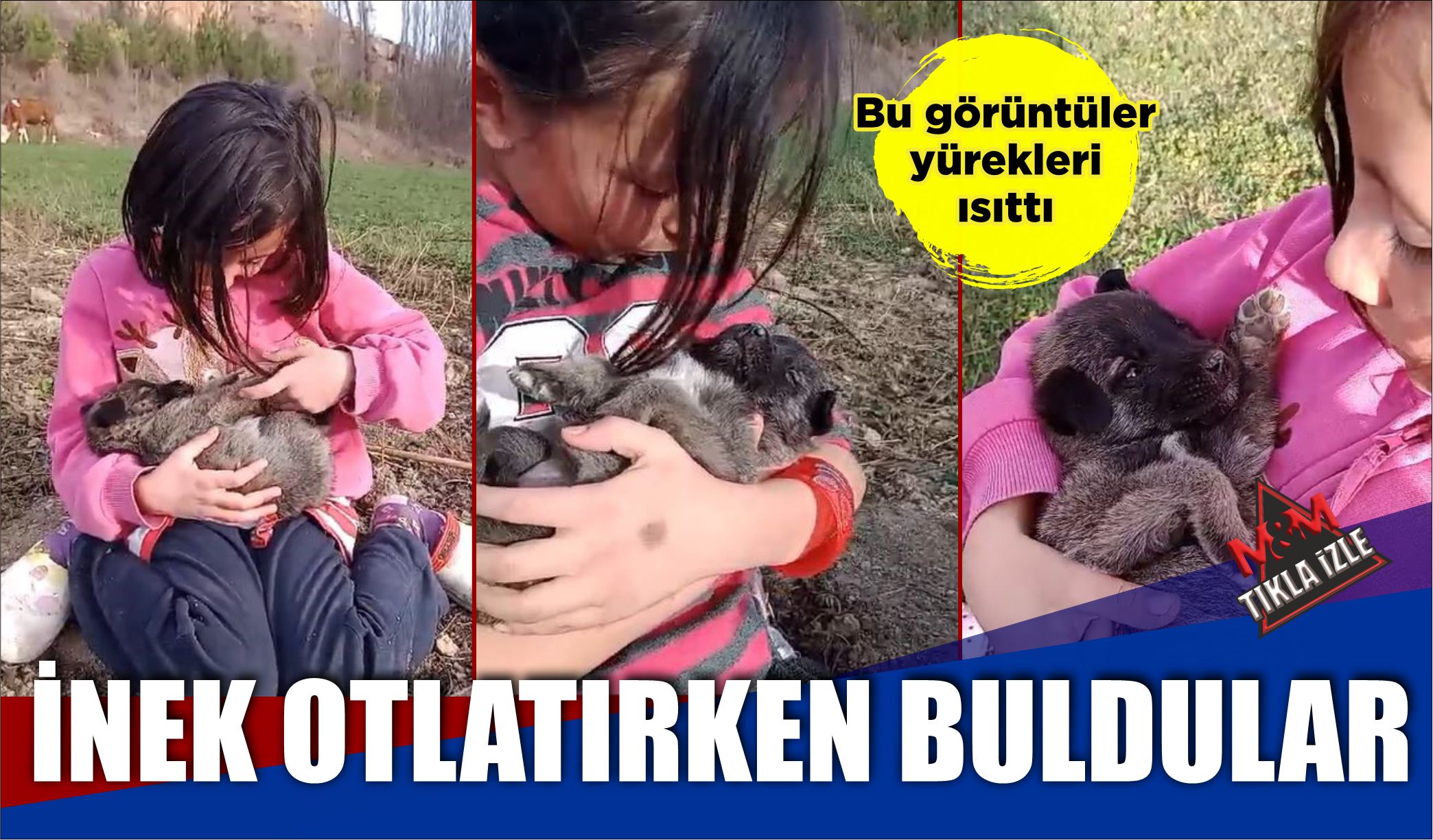 İNEK OTLATIRKEN BULDULAR