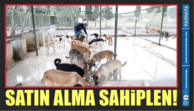 SATIN ALMA SAHİPLEN!