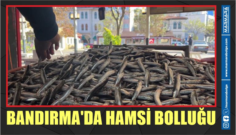 Balıkesir Büyükşehir Belediyesi Bandırma