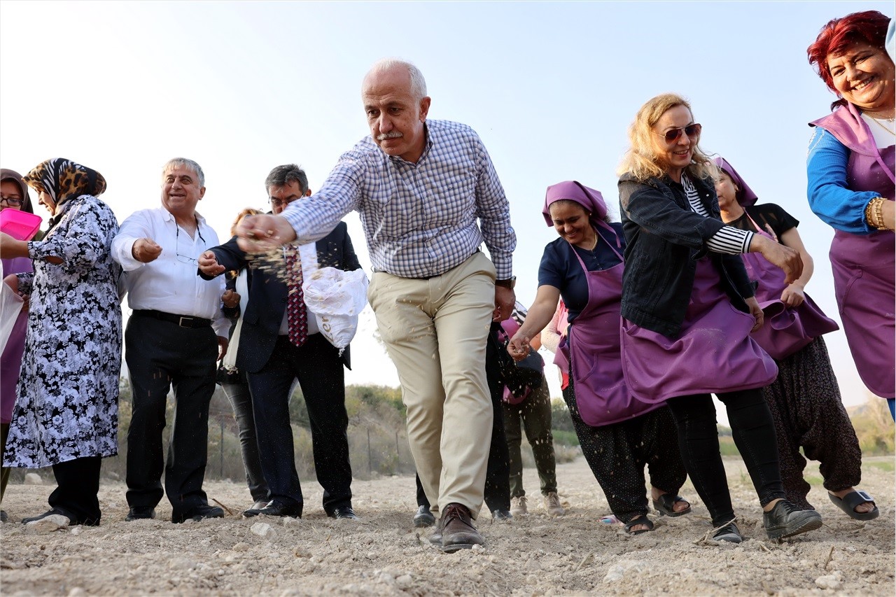 Akdeniz’de gambilya, organik ıspanak ve şevketi bostan ekimi gerçekleştirildi