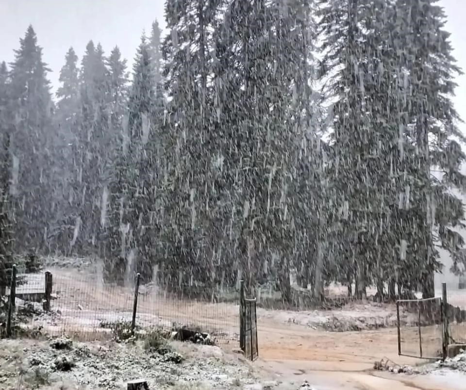 BARTIN VE ZONGULDAK'IN YÜKSEK