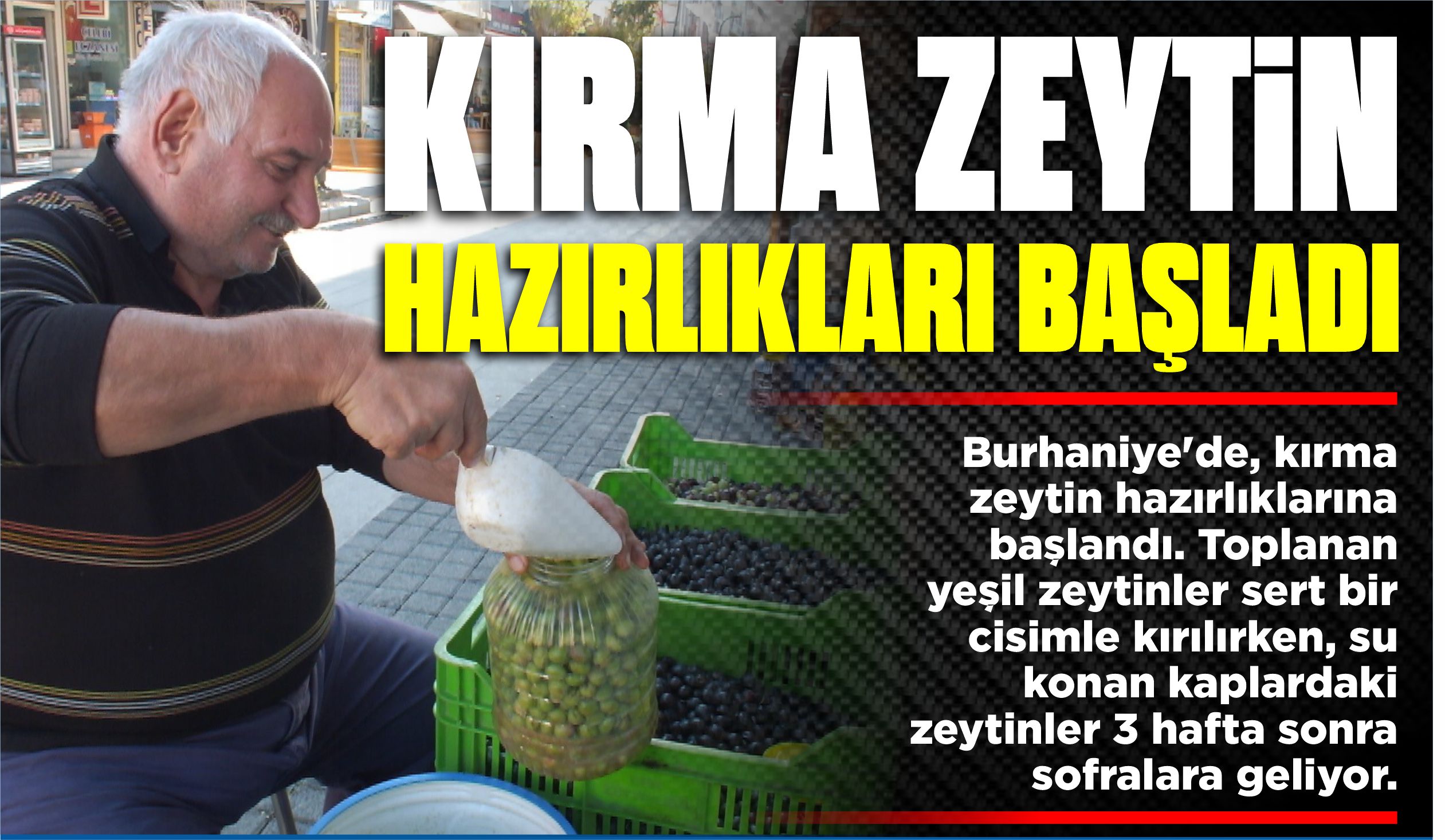 KIRMA ZEYTİN HAZIRLIKLARI BAŞLADI