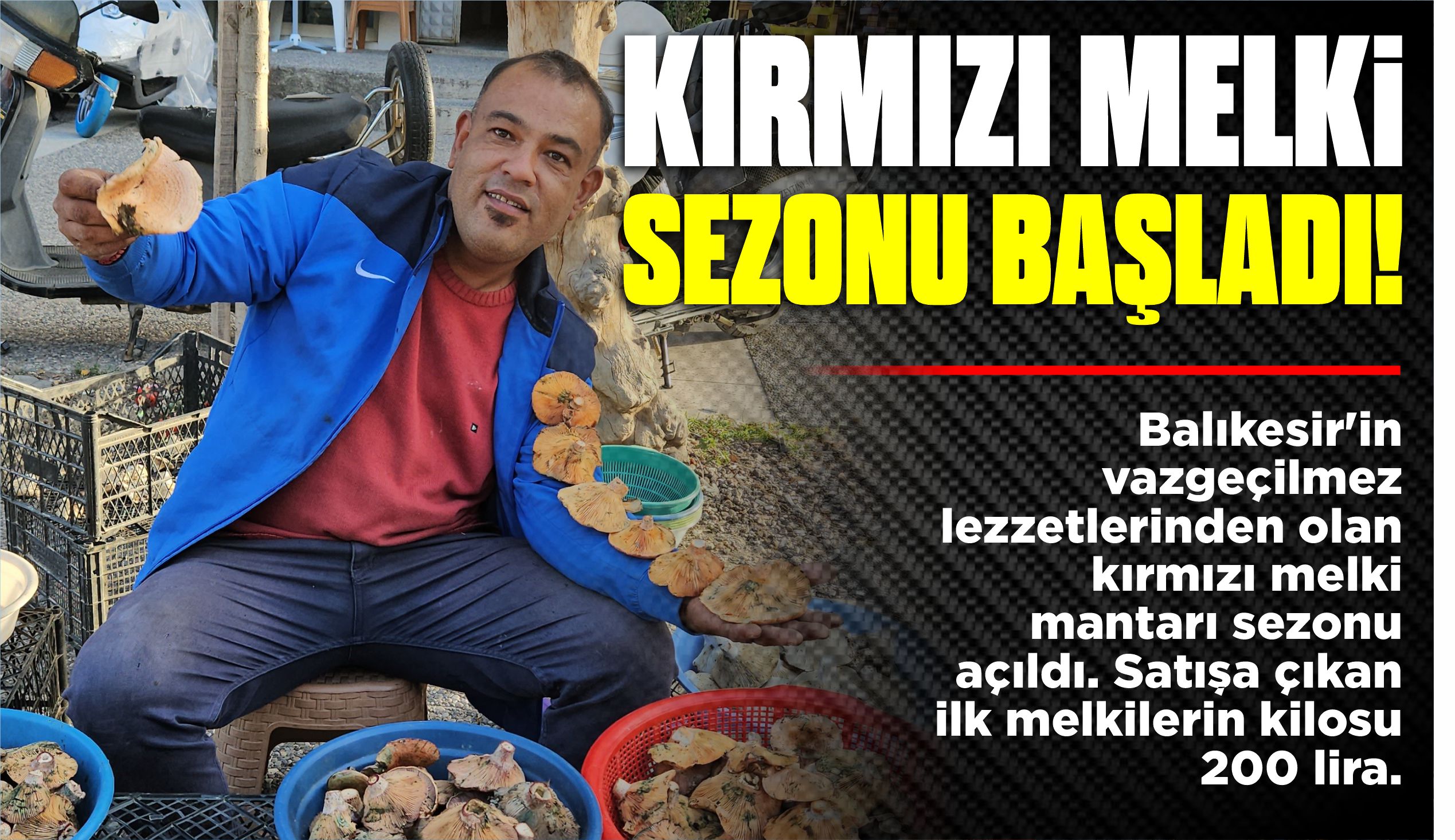 KIRMIZI MELKİ SEZONU BAŞLADI!