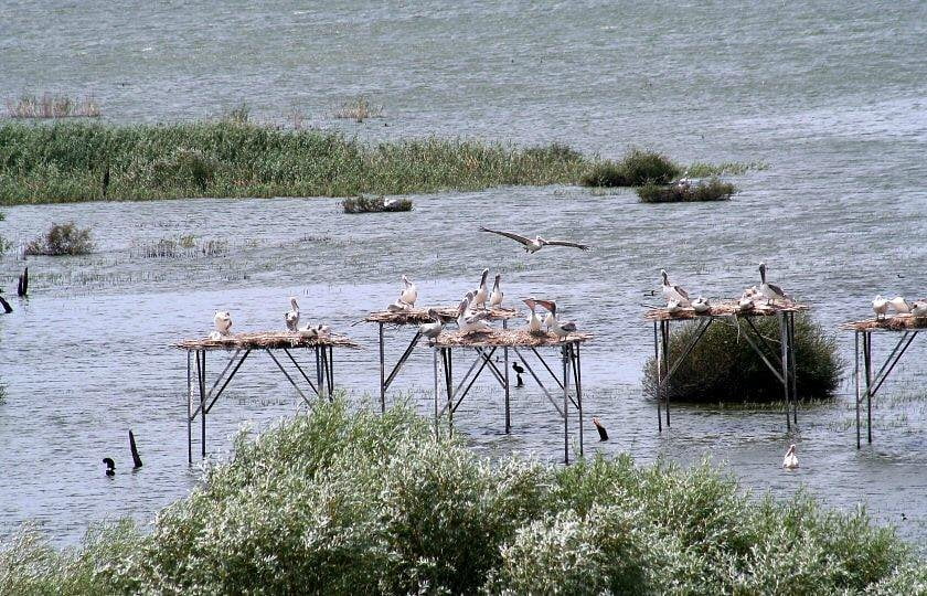 manyas kus cenneti - Marmara Bölge: Balıkesir Son Dakika Haberleri ile Hava Durumu