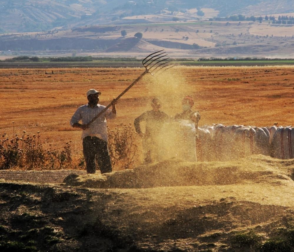 TARIM ÜRÜNLERİ ÜRETİCİ FİYAT