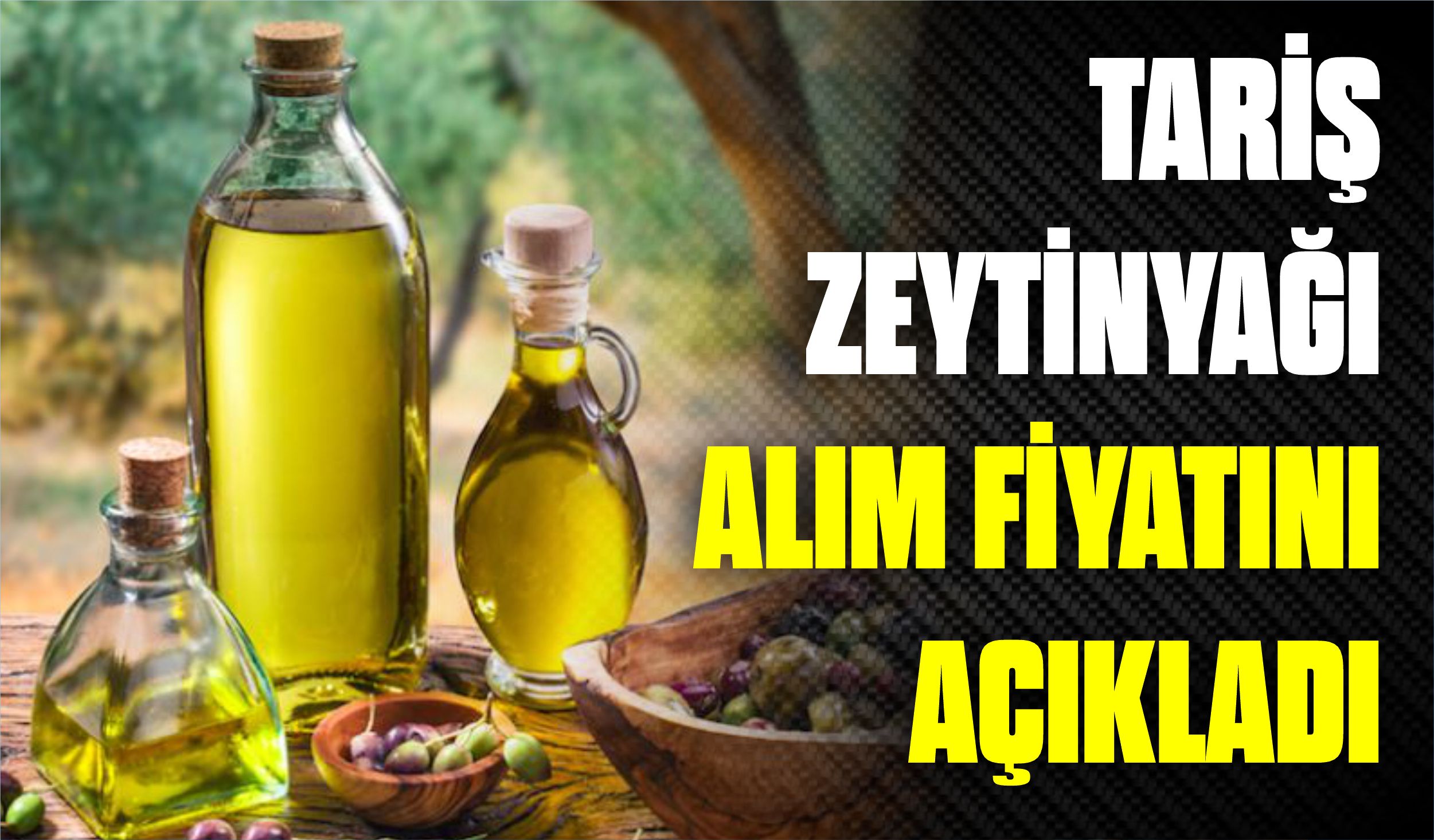 TARİŞ ZEYTİNYAĞI ALIM FİYATINI AÇIKLADI