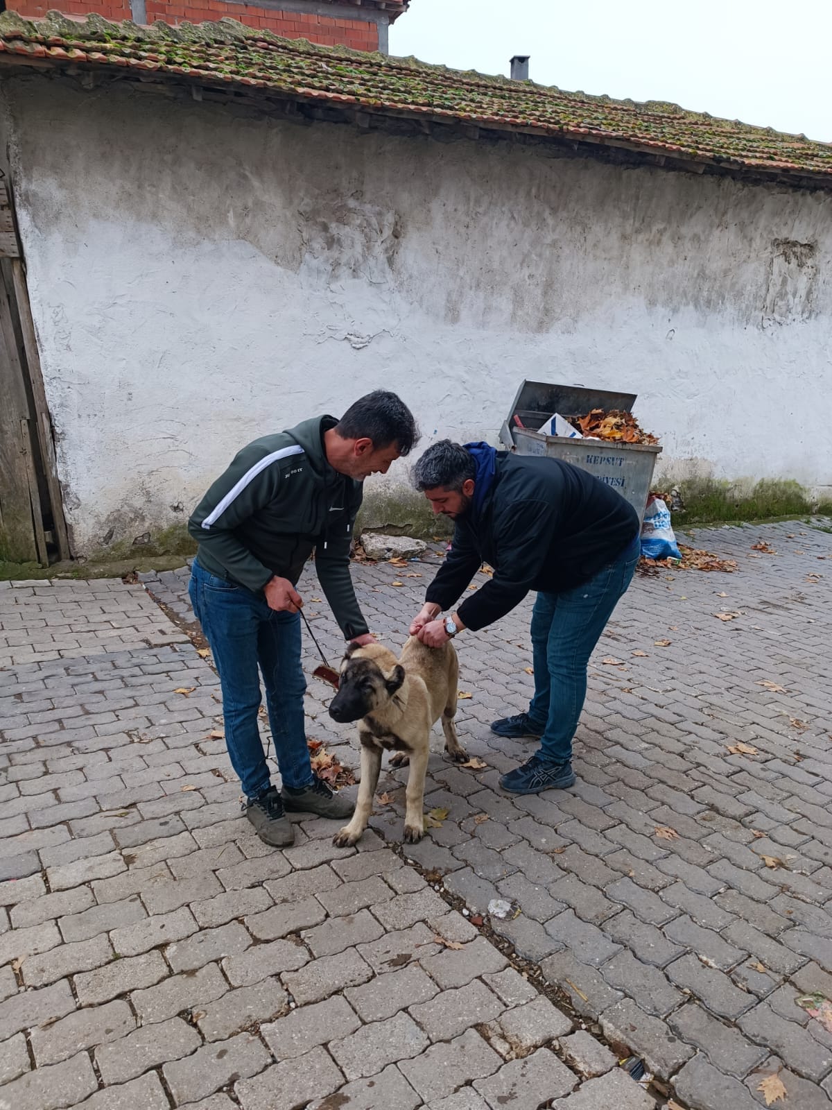 406945159 737267438434949 1366785802409631106 n - Marmara Bölge: Balıkesir Son Dakika Haberleri ile Hava Durumu