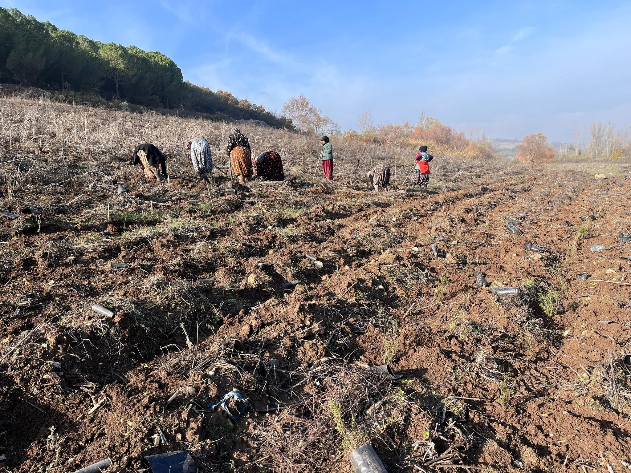 409719792 773529138148760 7612071468889151639 n - Marmara Bölge: Balıkesir Son Dakika Haberleri ile Hava Durumu