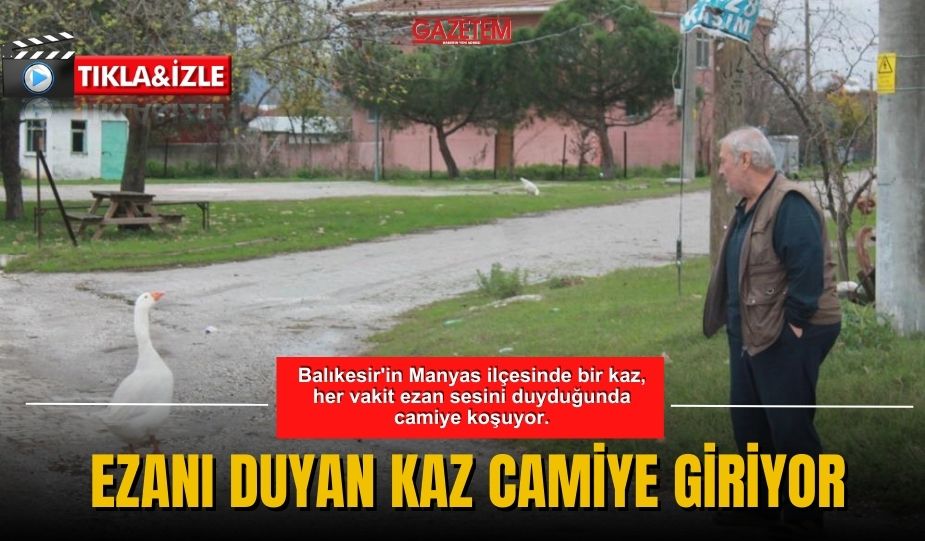 EZANI DUYAN KAZ CAMİYE GİRİYOR