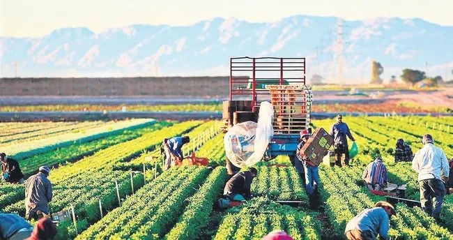 “TARIMSAL ÜRETİMDE SÜRDÜRÜLEBİLİRLİK ŞART”