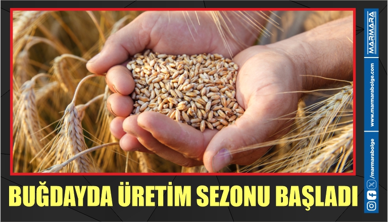 BUĞDAYDA ÜRETİM SEZONU BAŞLADI