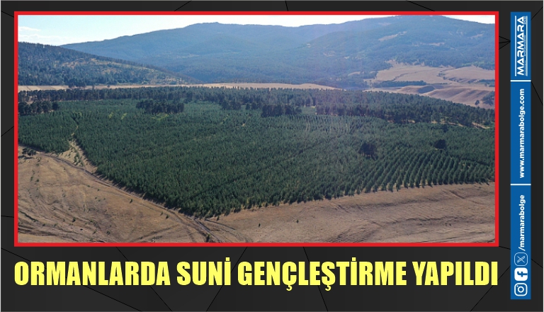 ORMANLARDA SUNİ GENÇLEŞTİRME YAPILDI