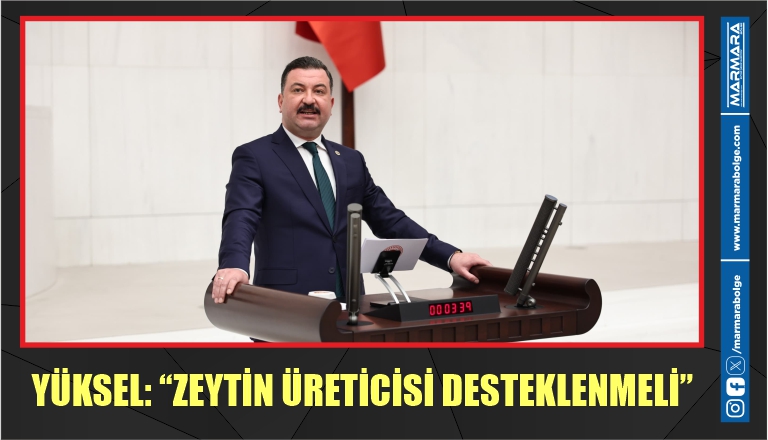 YÜKSEL: “ZEYTİN ÜRETİCİSİ DESTEKLENMELİ”