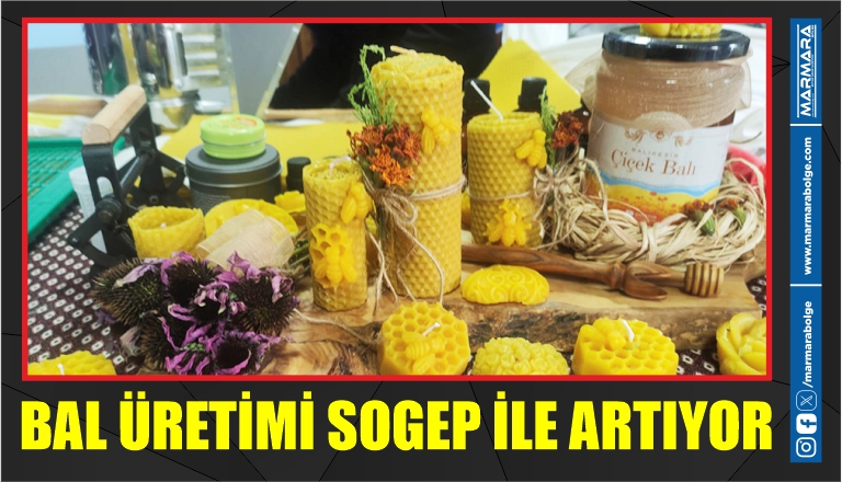 BAL ÜRETİMİ SOGEP İLE ARTIYOR