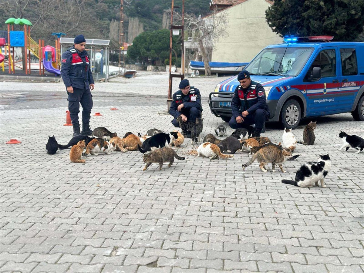 2 6 - Marmara Bölge: Balıkesir Son Dakika Haberleri ile Hava Durumu