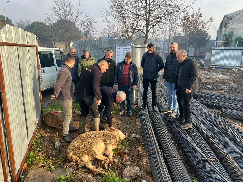 413017783 4434921946732960 4301568384873859130 n - Marmara Bölge: Balıkesir Son Dakika Haberleri ile Hava Durumu