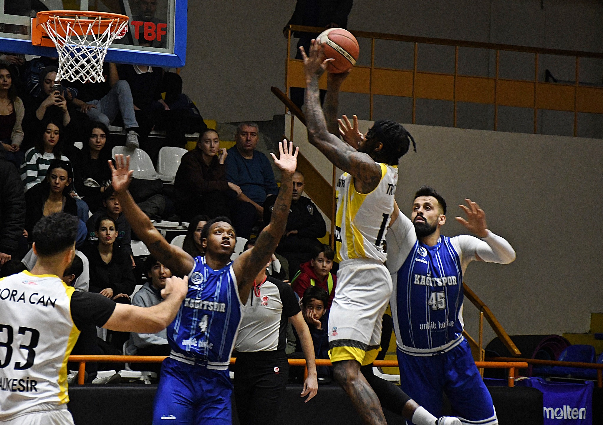 Türkiye Basketbol Ligi 17.