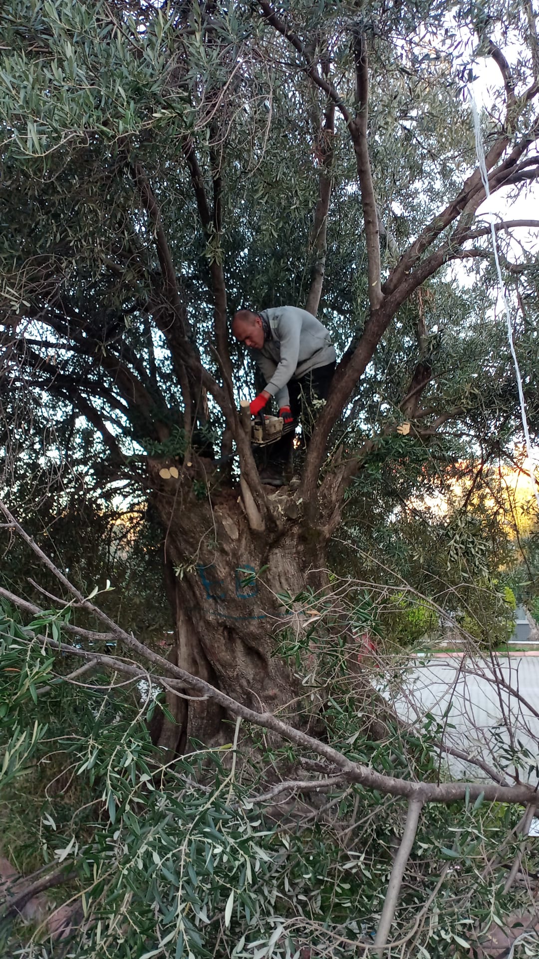 Edremit’te belediye ekipleri tarafından