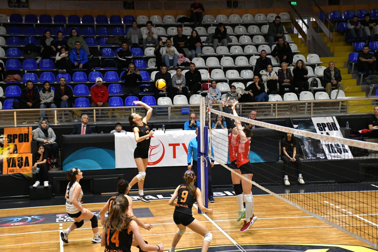 Türkiye Voleybol Federasyonu (TVF)