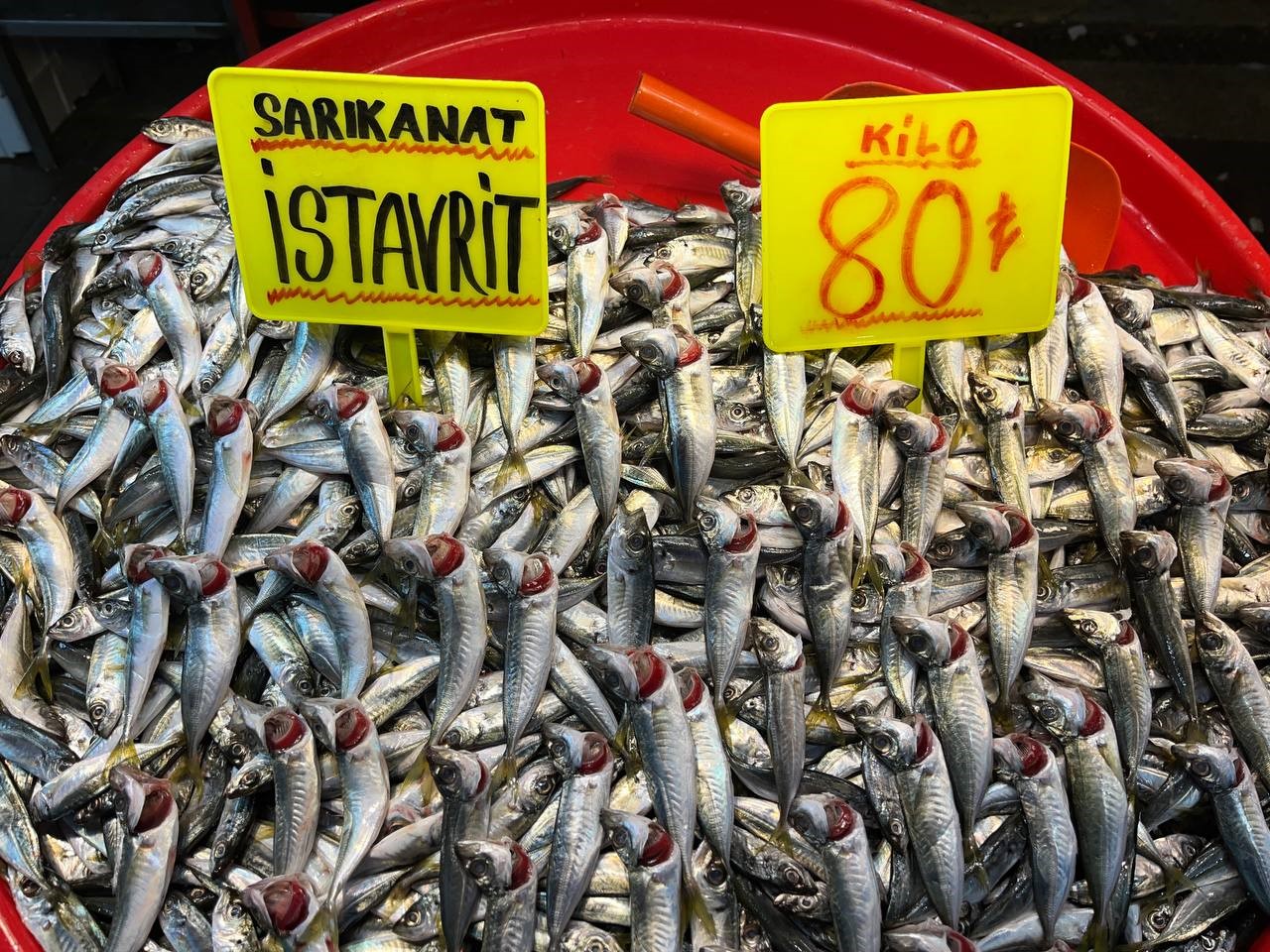 Güney Marmara’da etkili olan