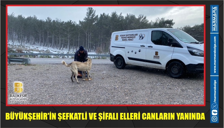 BÜYÜKŞEHİR’İN ŞEFKATLİ VE ŞİFALI ELLERİ CANLARIN YANINDA