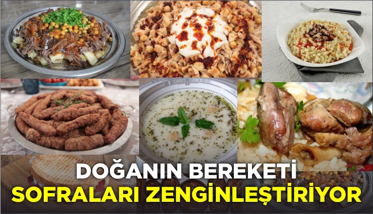 Batı ve Kuzey Ege’nin