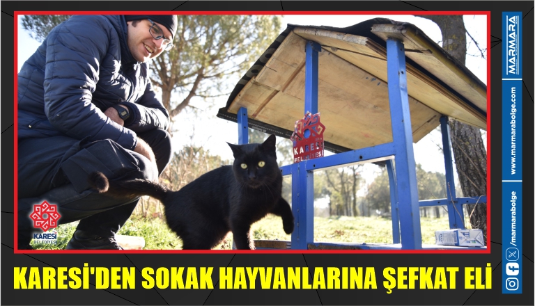 KARESİ’DEN SOKAK HAYVANLARINA ŞEFKAT ELİ