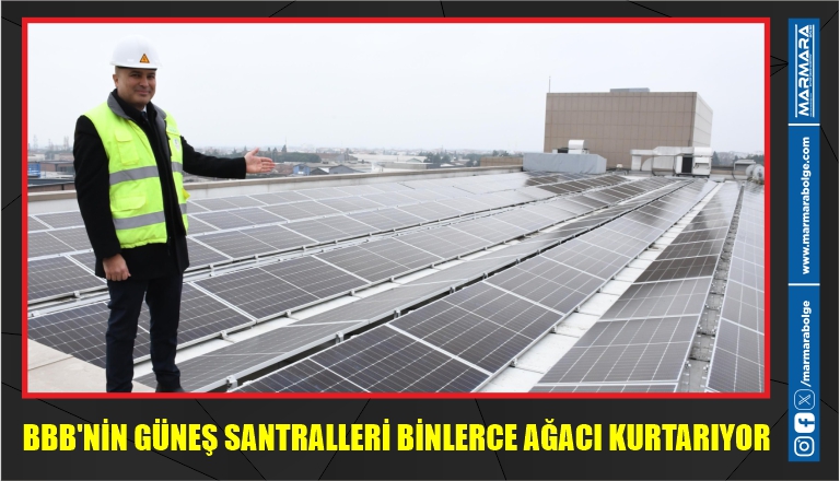 BBB’NİN GÜNEŞ SANTRALLERİ BİNLERCE AĞACI KURTARIYOR