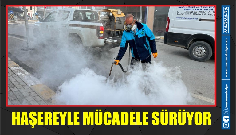 HAŞEREYLE MÜCADELE SÜRÜYOR