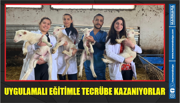 UYGULAMALI EĞİTİMLE TECRÜBE KAZANIYORLAR